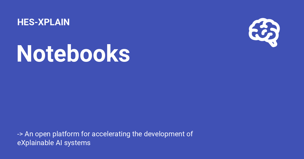 Notebooks - HES-XPLAIN
